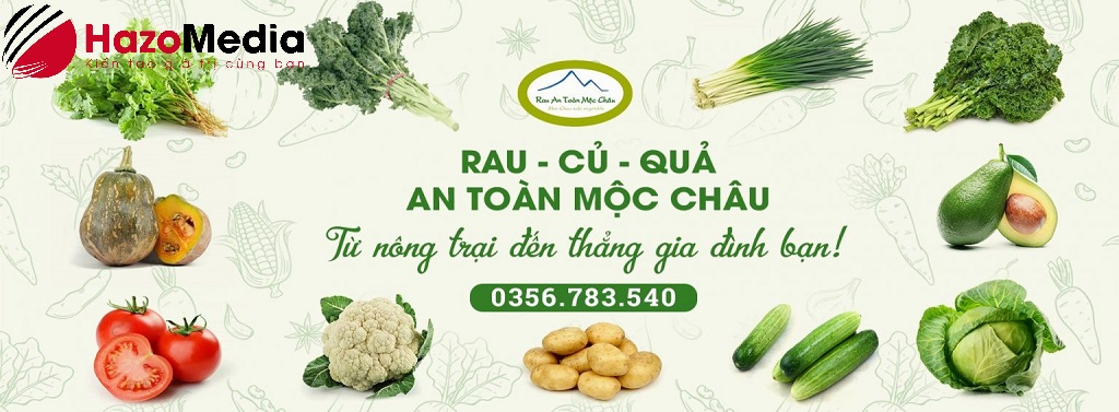 Thiết kế website 